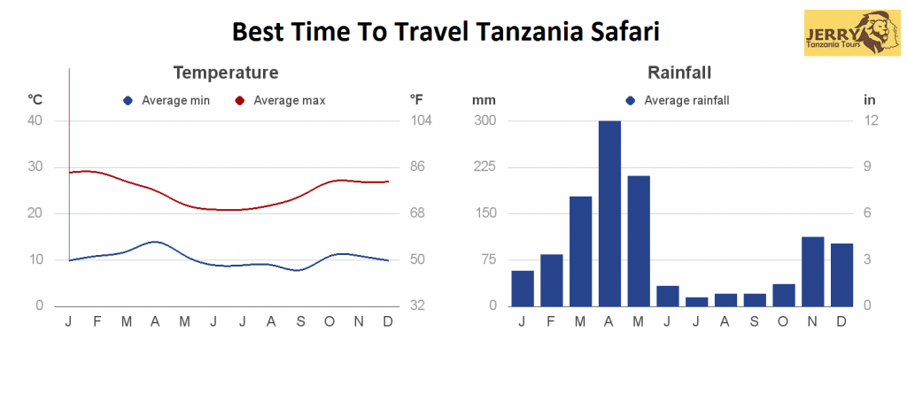 Best Time to Go Tanzania Safari