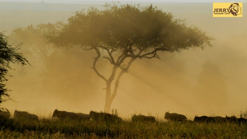 History of Serengeti National Park