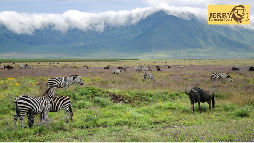 Ngorongoro Conservation Area