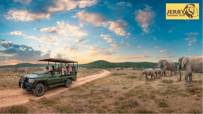 Tanzania safari Tour
