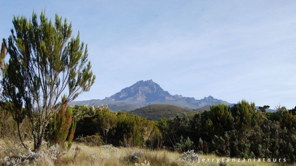 Kilimanjaro Heath Zone